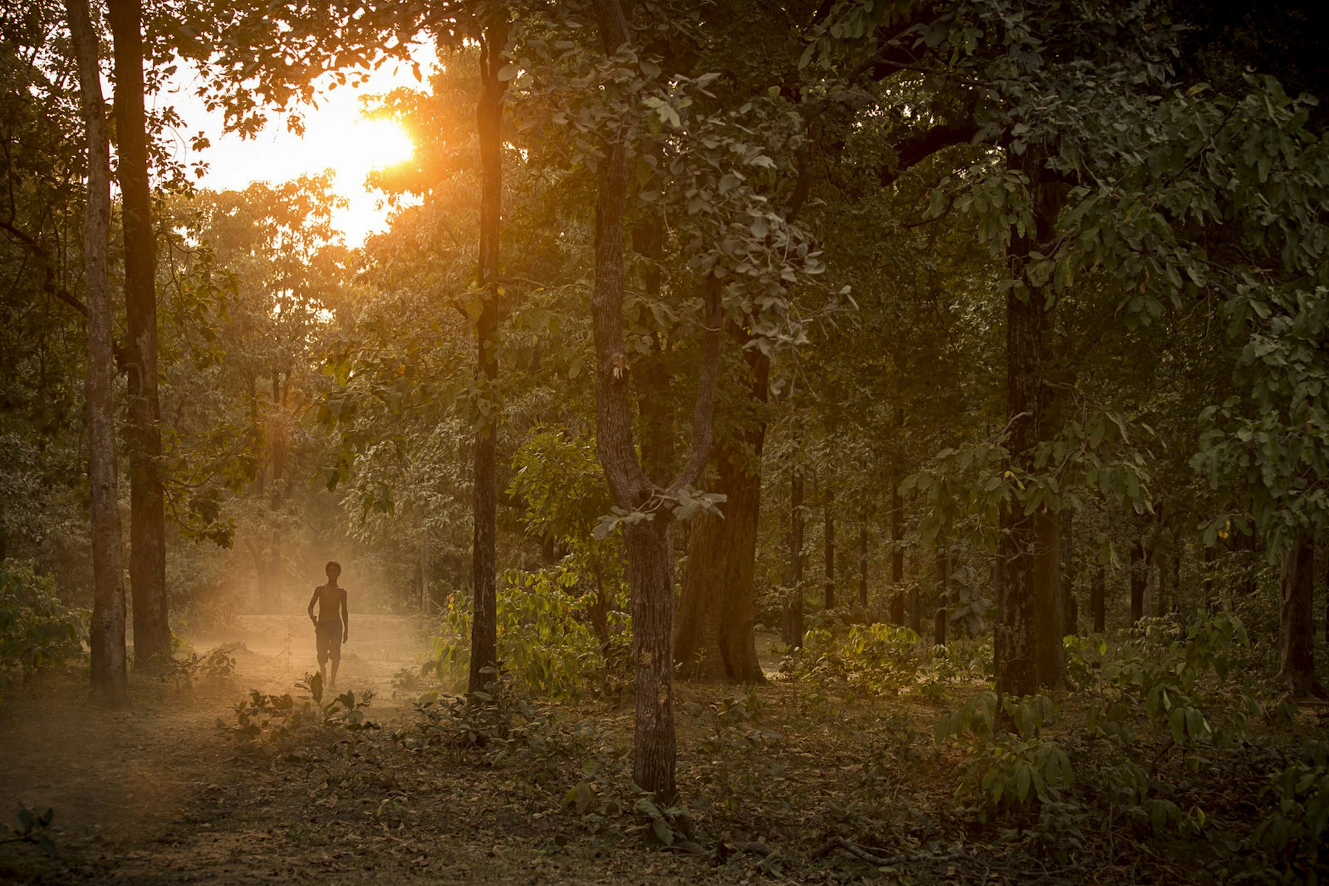 A boy strolls through the jungle in Satpura National Park © Philip Lee Harvey / Lonely Planet