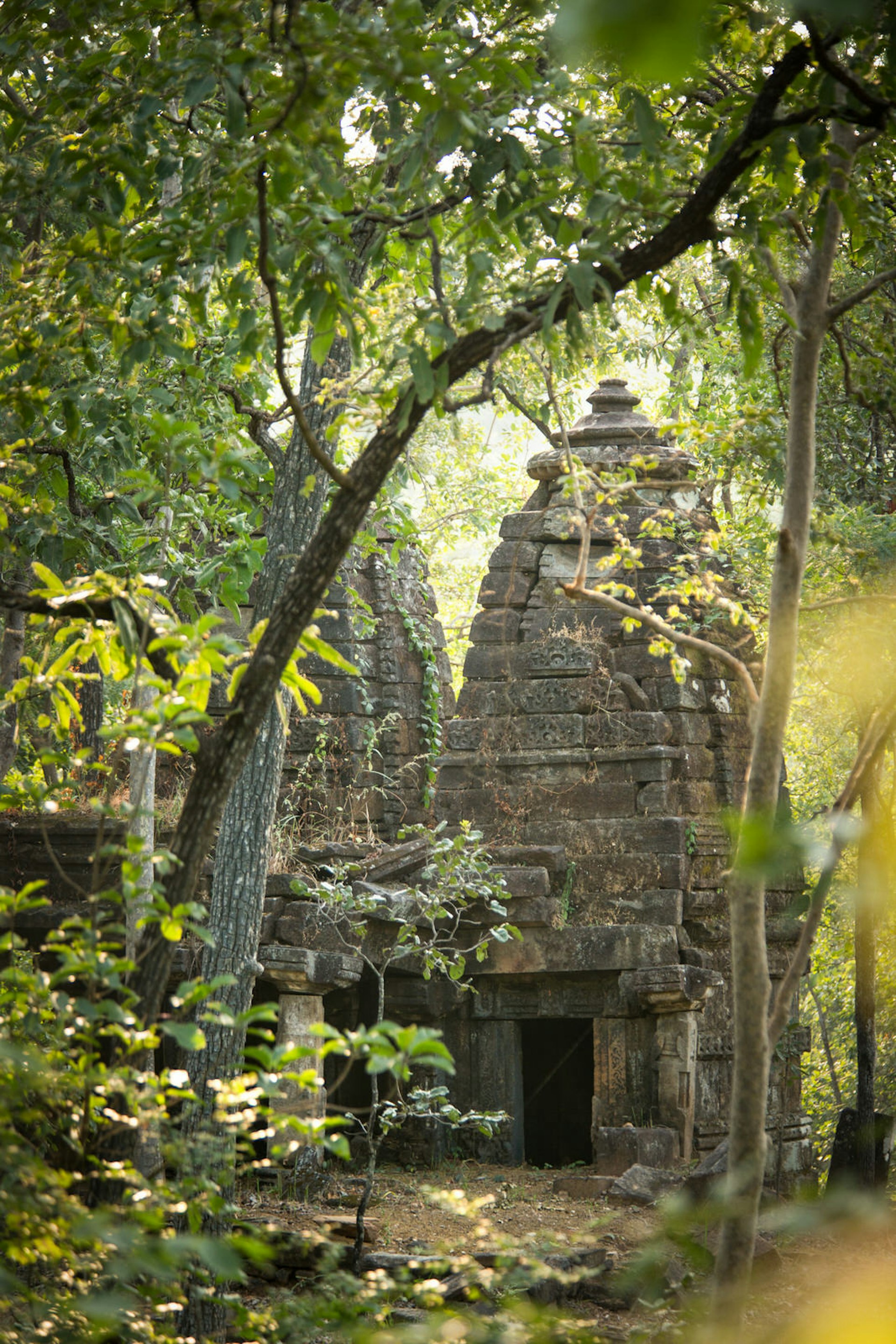 A crumbling Gond temple in a corner of Satpura National Park is a dead ringer for King Louie’s palace in Disney’s  The Jungle Book film © Philip Lee Harvey / Lonely Planet