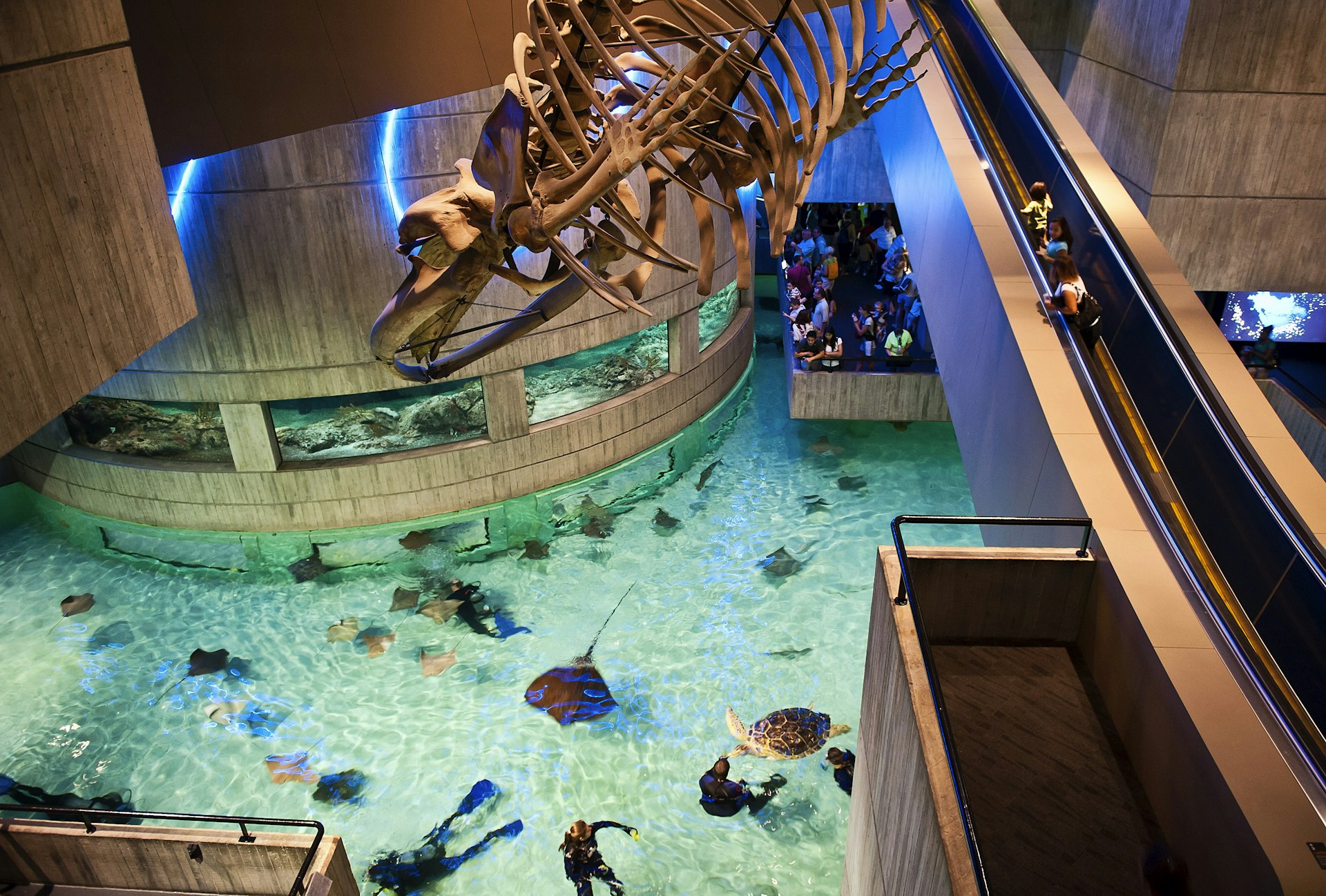 National Aquarium, Inner Harbor, Baltimore, Maryland, USA (Photo by: myLoupe/Universal Images Group via Getty Images)