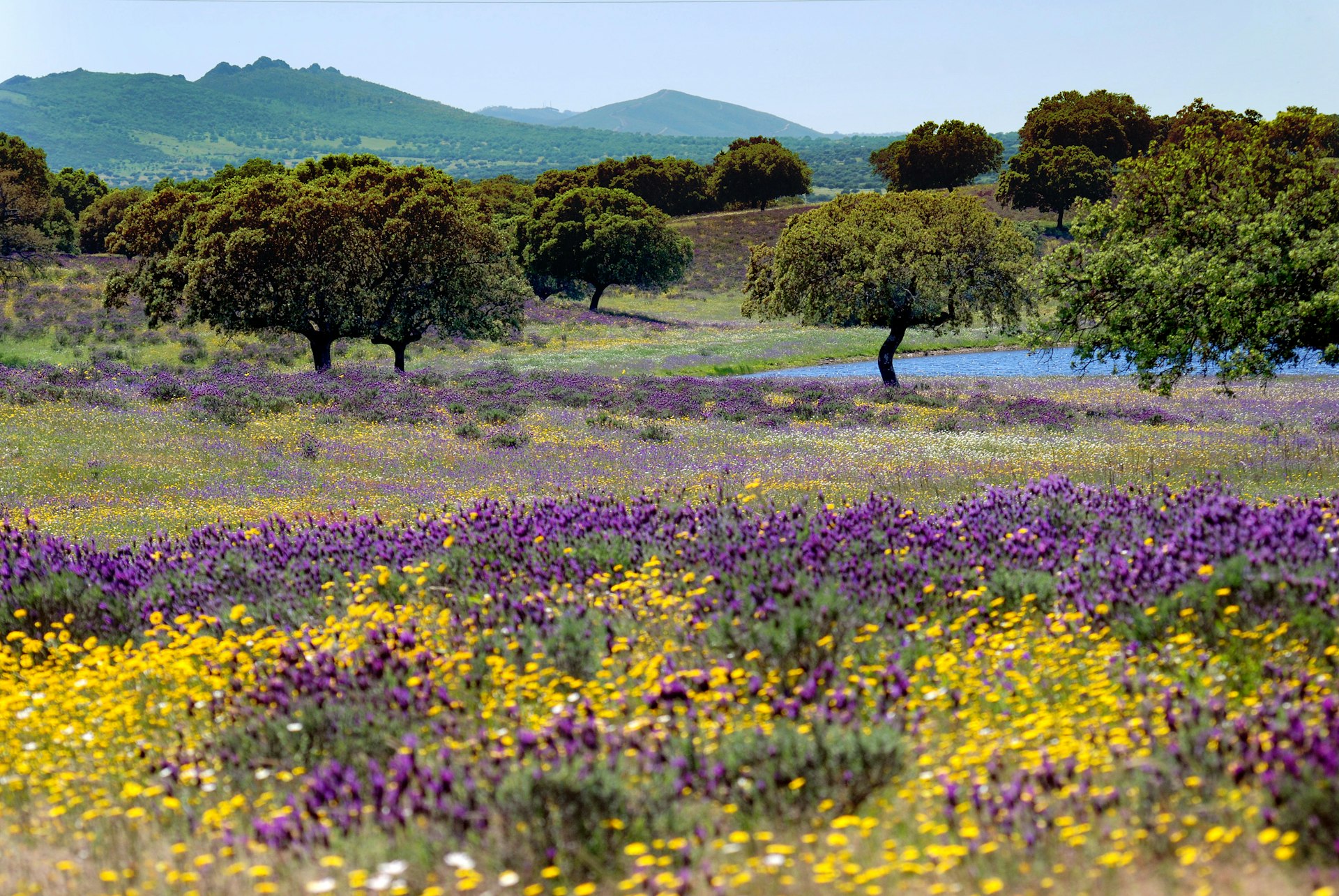 Extremadura's lesser known attractions make it a perfect, uncrowded part of Spain to explore. © Jacques van Dinteren / Getty Images