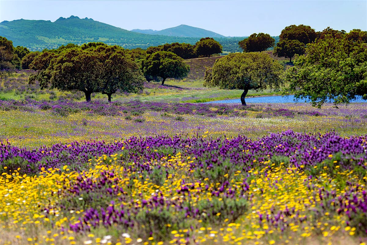 Unexplored Spain Road Tripping Around Extremadura Lonely Planet
