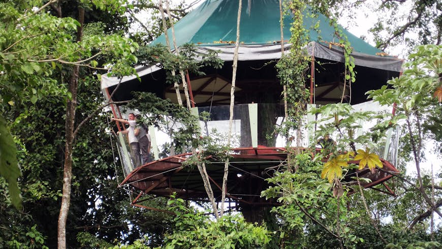 Las casas en los árboles más singulares de Costa Rica