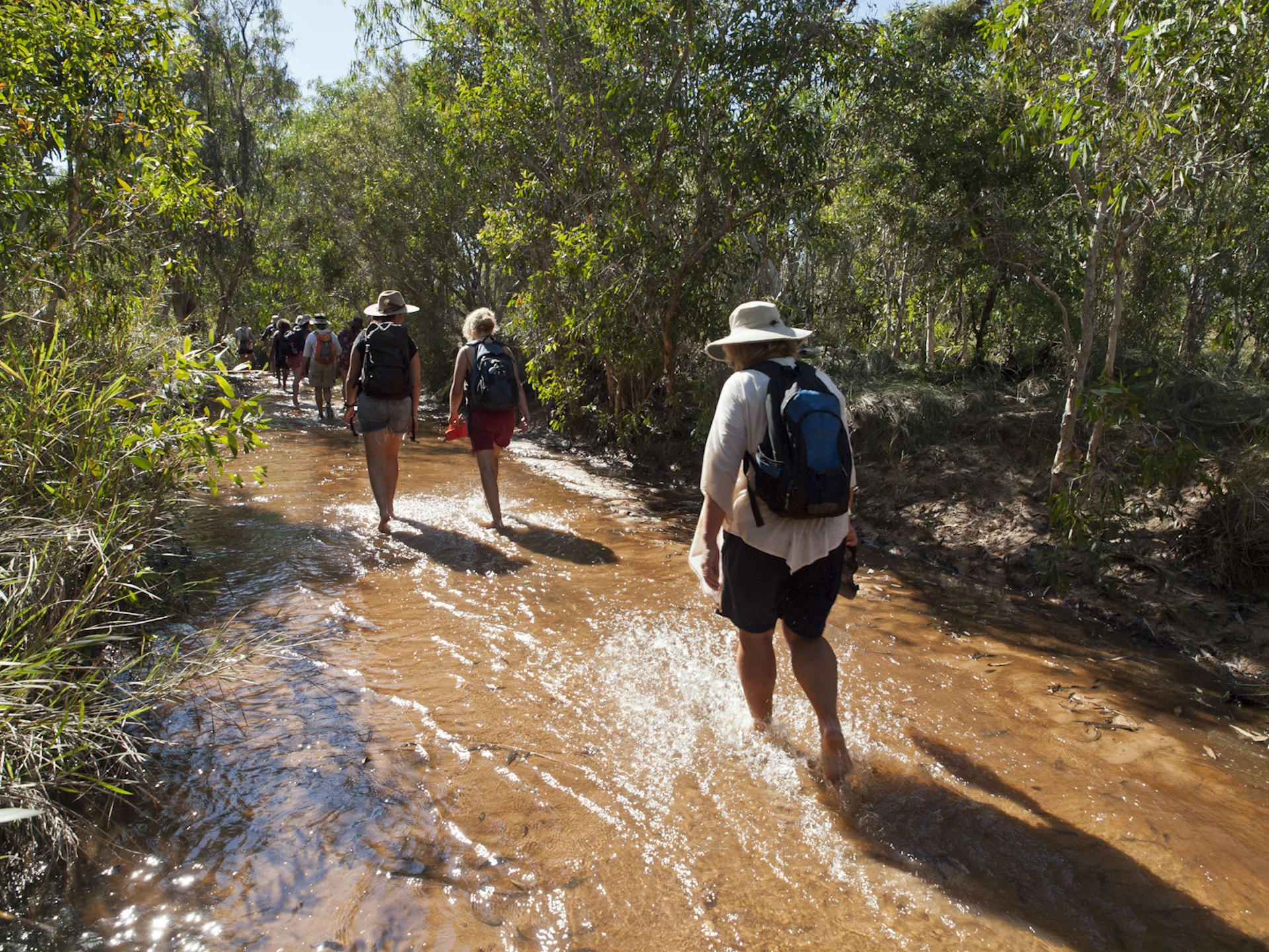 Walkers on the Lurujarri Heritage Trail through Goolarabooloo Country © Steve Waters / Lonely Planet 