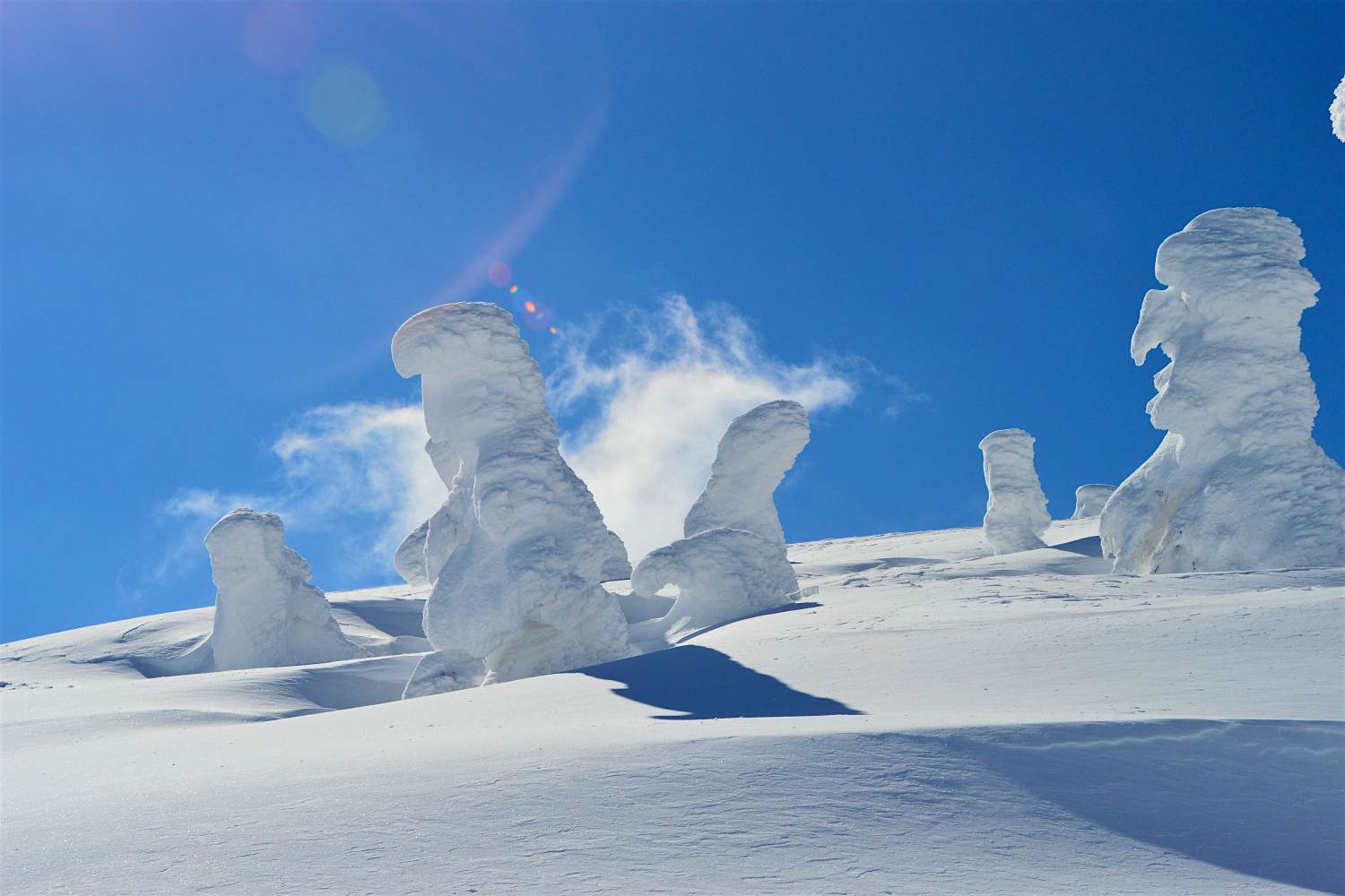 Features - snow monsters Snow monsters in Japan