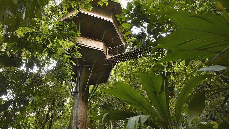 Vista de una casa del árbol desde el suelo en Finca Bellavista, Costa Rica