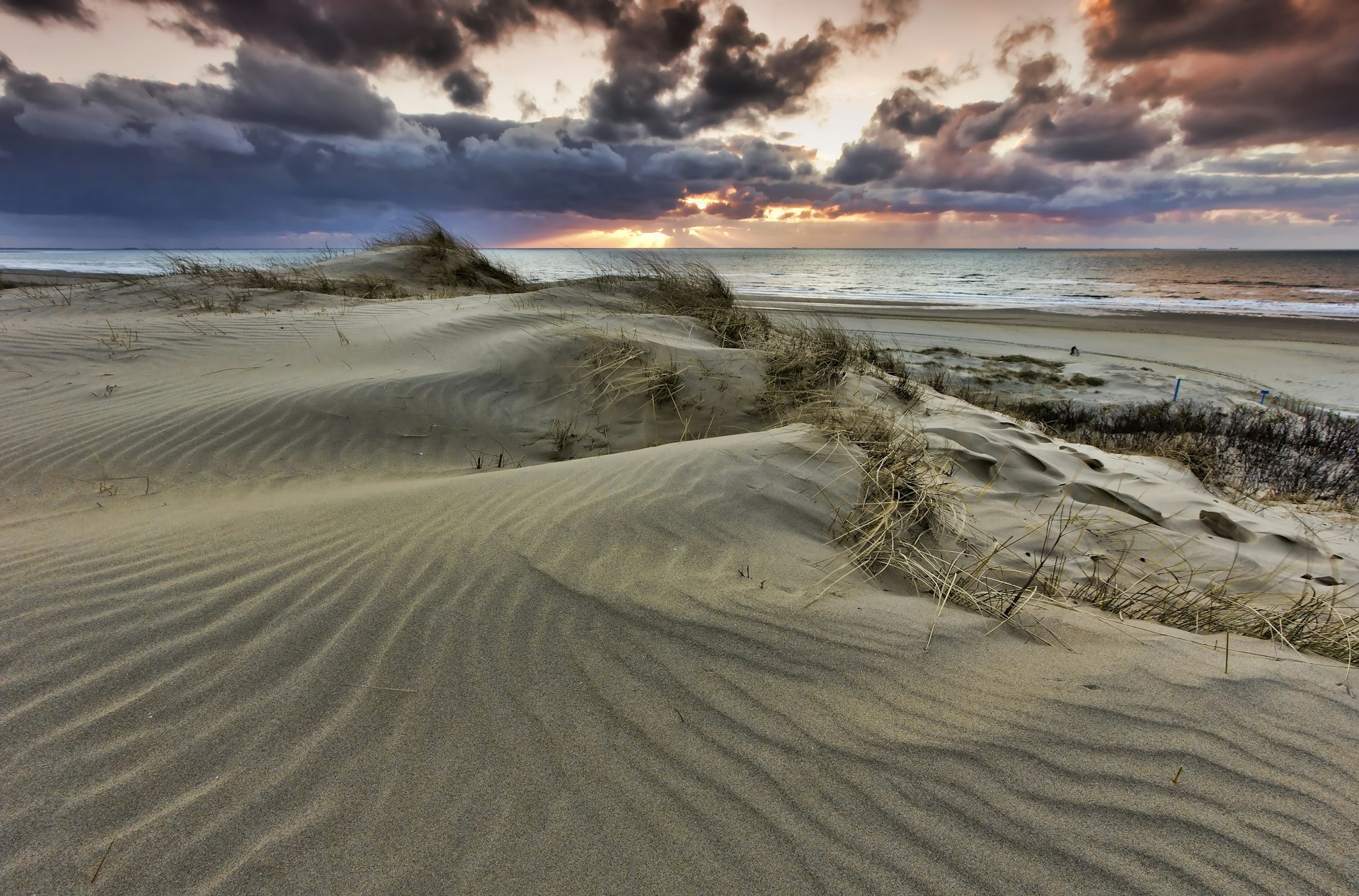 Stunning dune landscape in Westduinpark