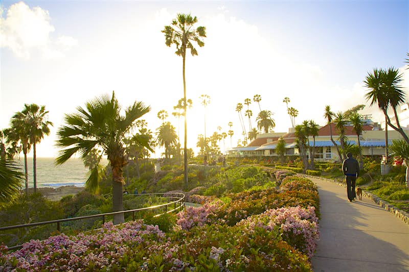 Features - Man and dog amid plantings, Laguna Beach Man walking dog on path near palms and colorful plants at dusk, Laguna Beach, Orange