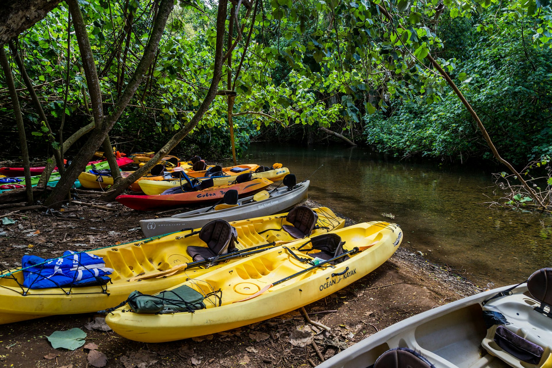 Kayaks on the shore of the Wailua River, Kauai © Alexander Howard / Lonely Planet