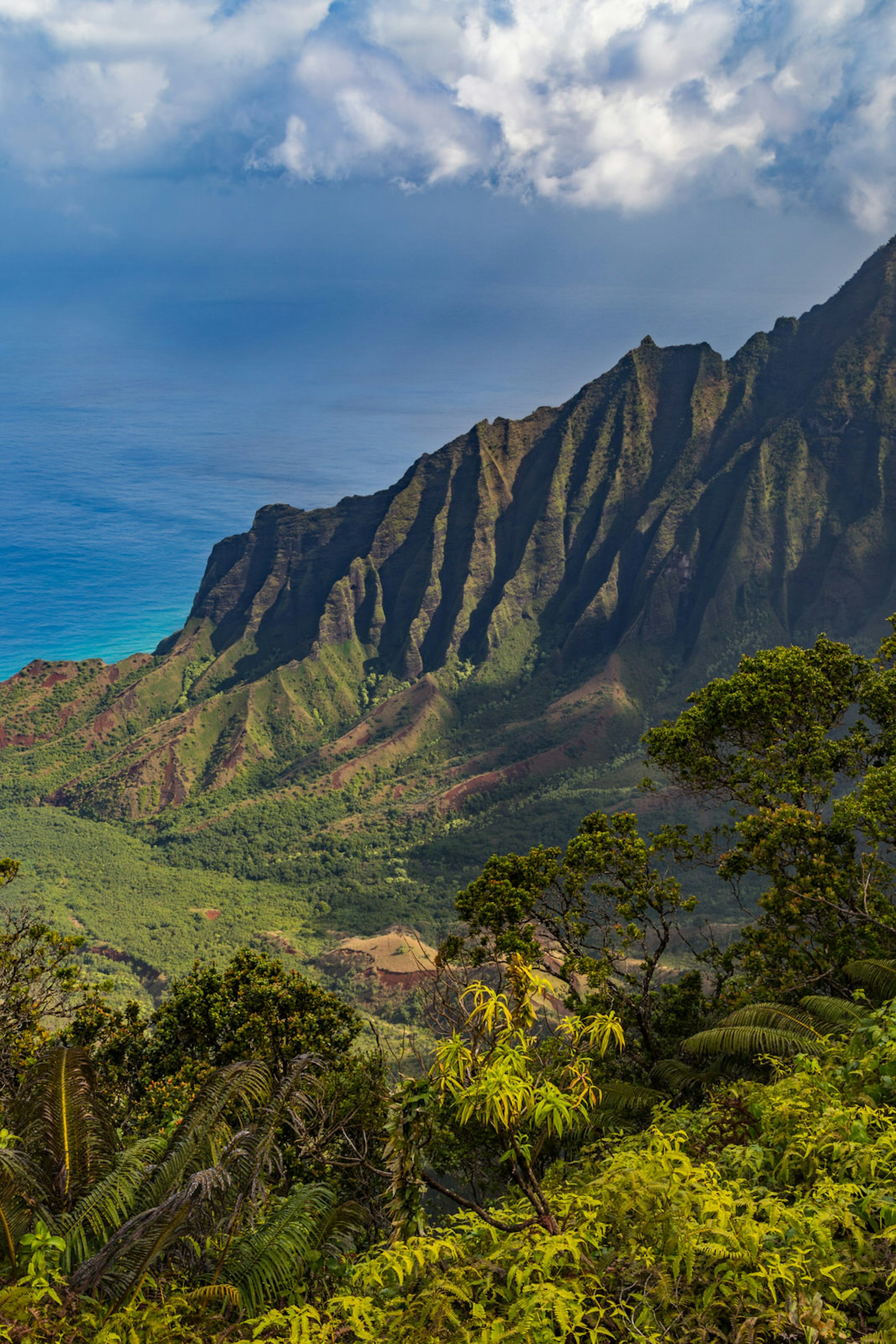 The view from Kalalau Lookout © Alexander Howard / Lonely Planet