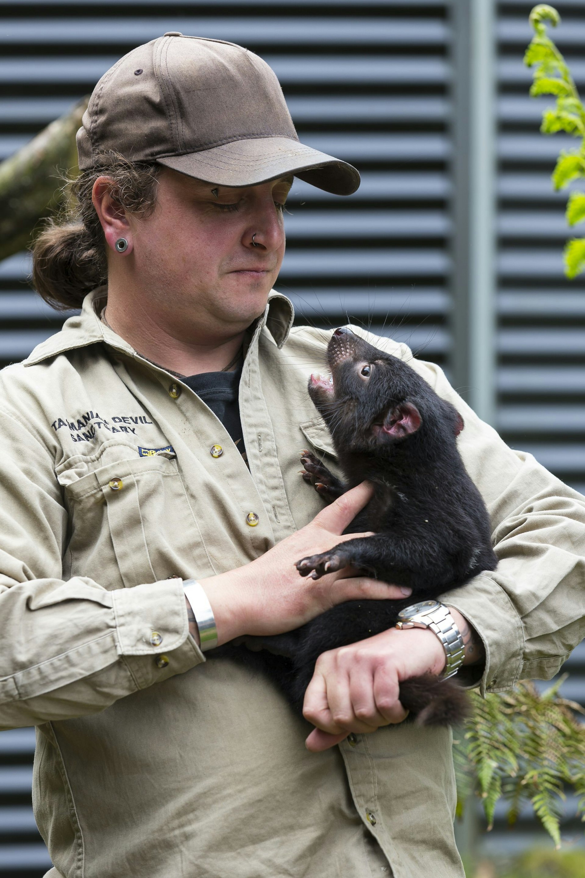 Chris Coupland, zookeeper