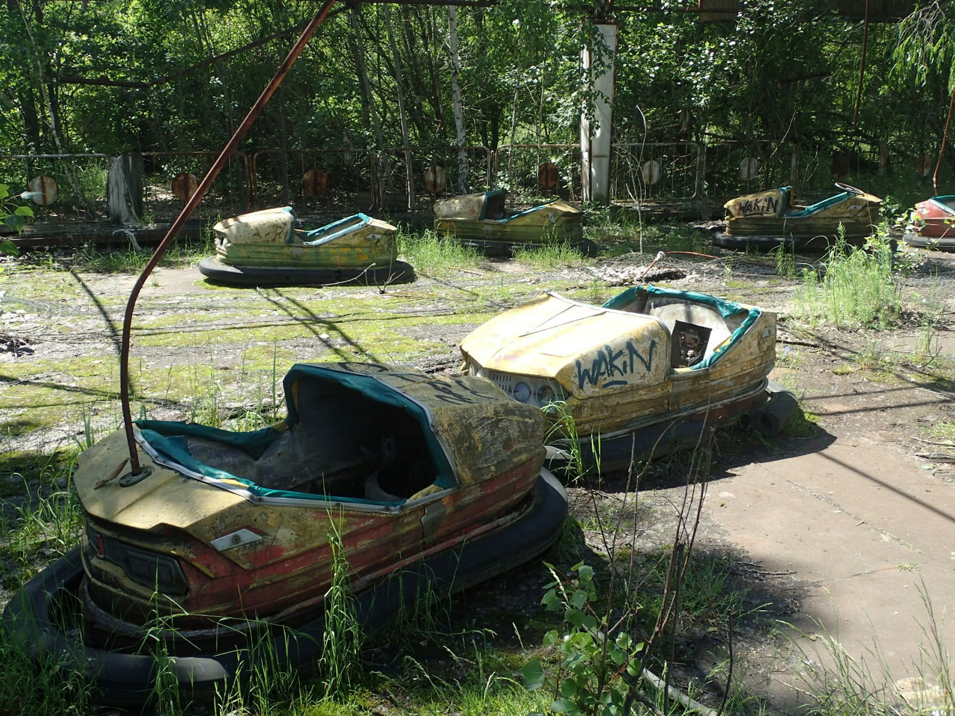 Decaying yellow and blue dodgem cars in Pripyat amusement park, with weeds growing between them and trees in the background.
