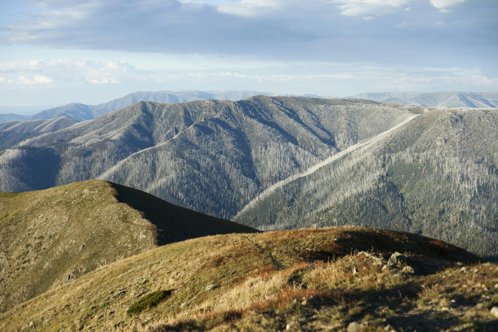 Mount Feathertop is the second highest mountain in Victoria, Australia© DrewEchberg / Getty Images