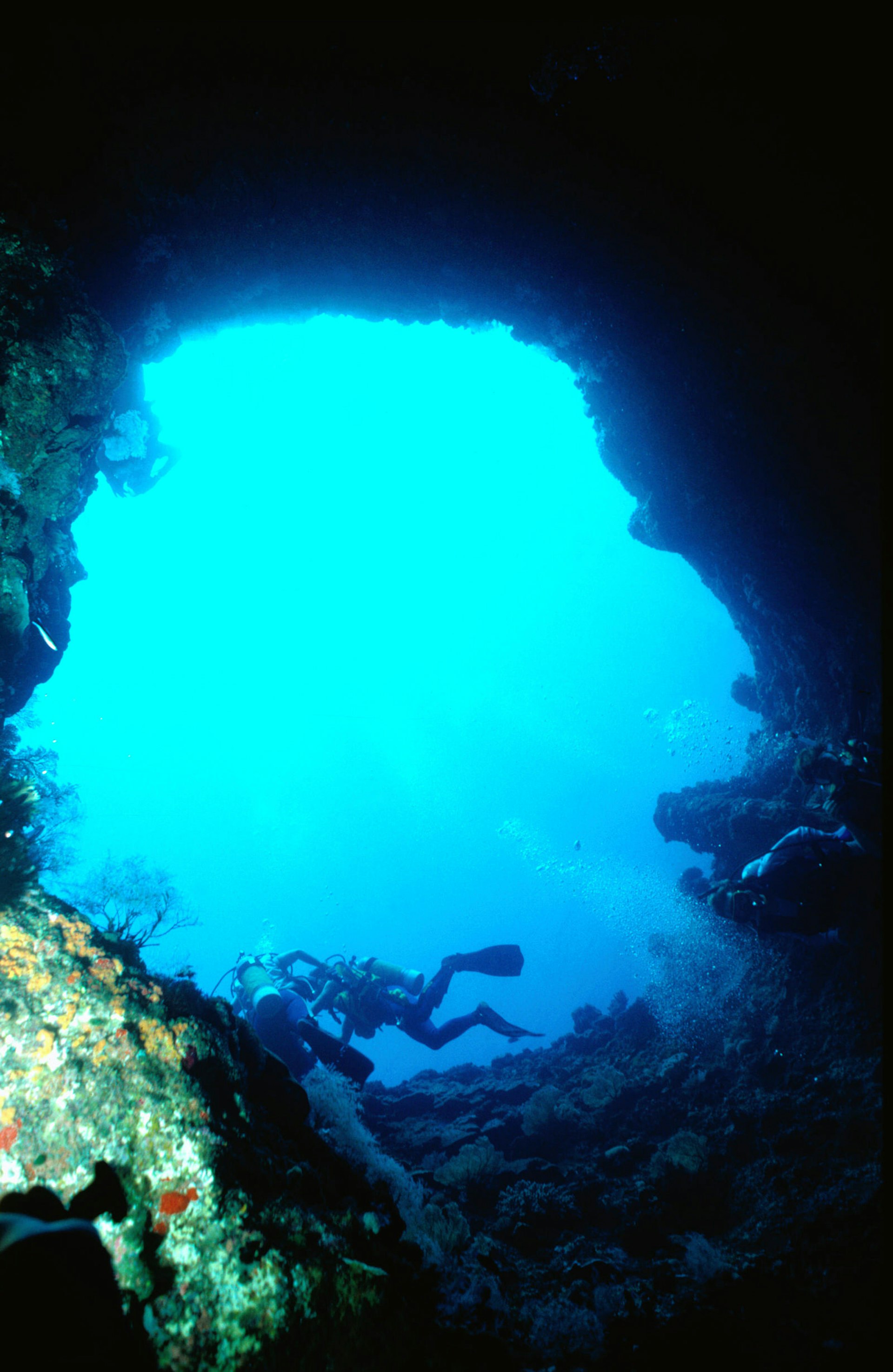 Great Barrier Reef, Queensland, Australia, Australasia