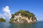 Features - Bird Island La Cacata