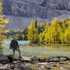 Features - A back packer pauses on the shore of Skoki Lake in the Skoki wilderness area of Banff National Park, Alberta, Canada. Model Released