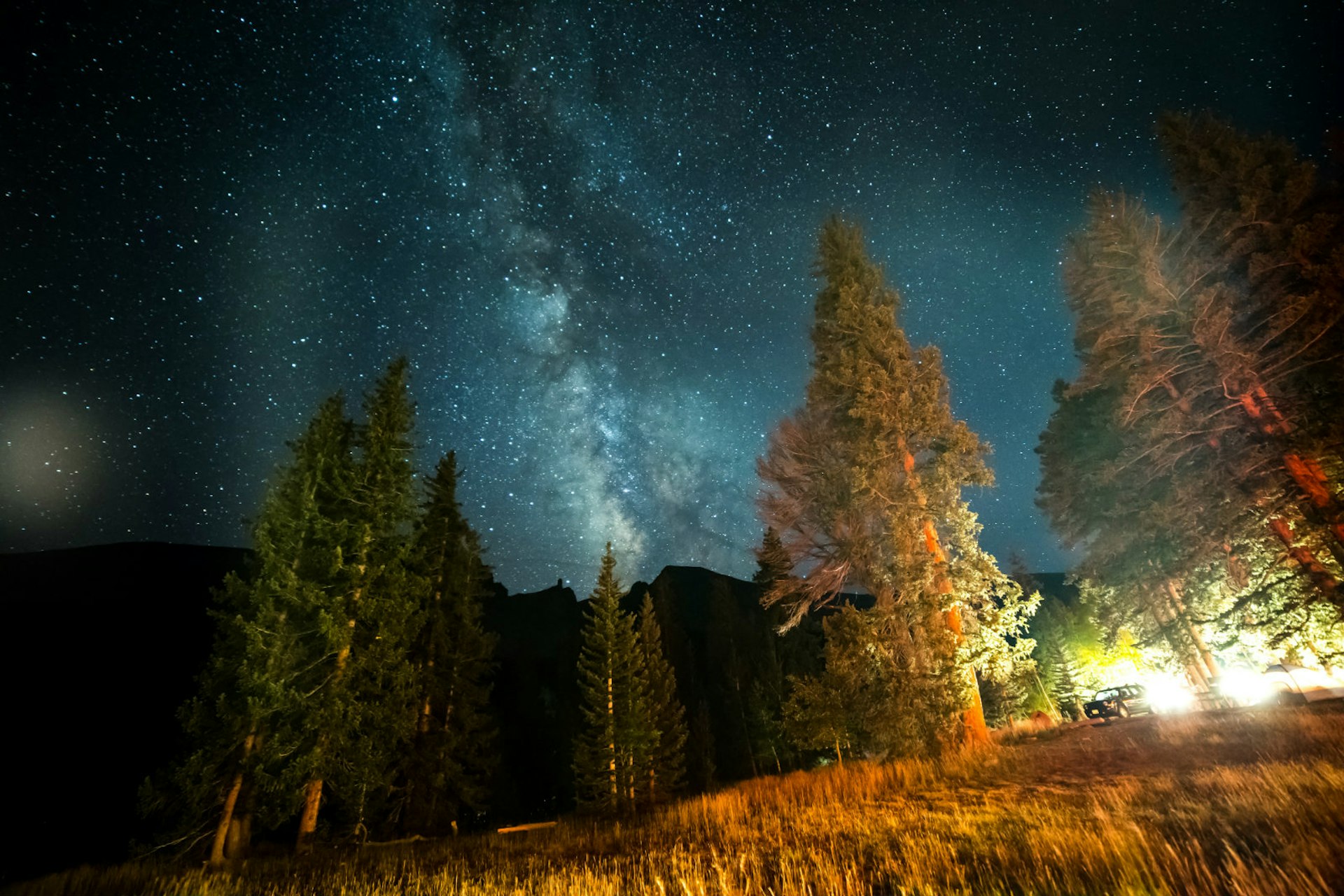 The milky way is seen clearly rising above some trees; National Parks: The best free things to do in the US parks