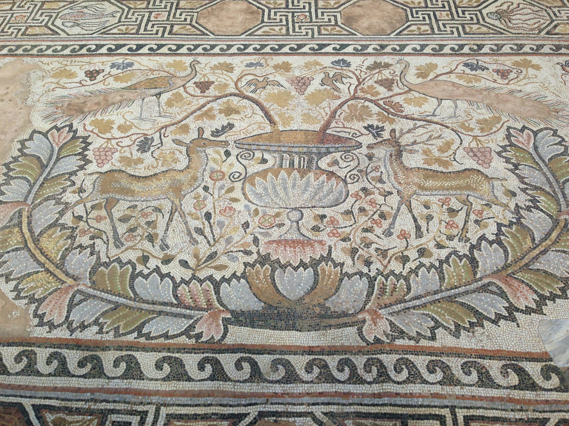 Floor mosaic at Bitola's Heraclea Lyncestis ruins © Brana Vladisavljevic / Lonely Planet