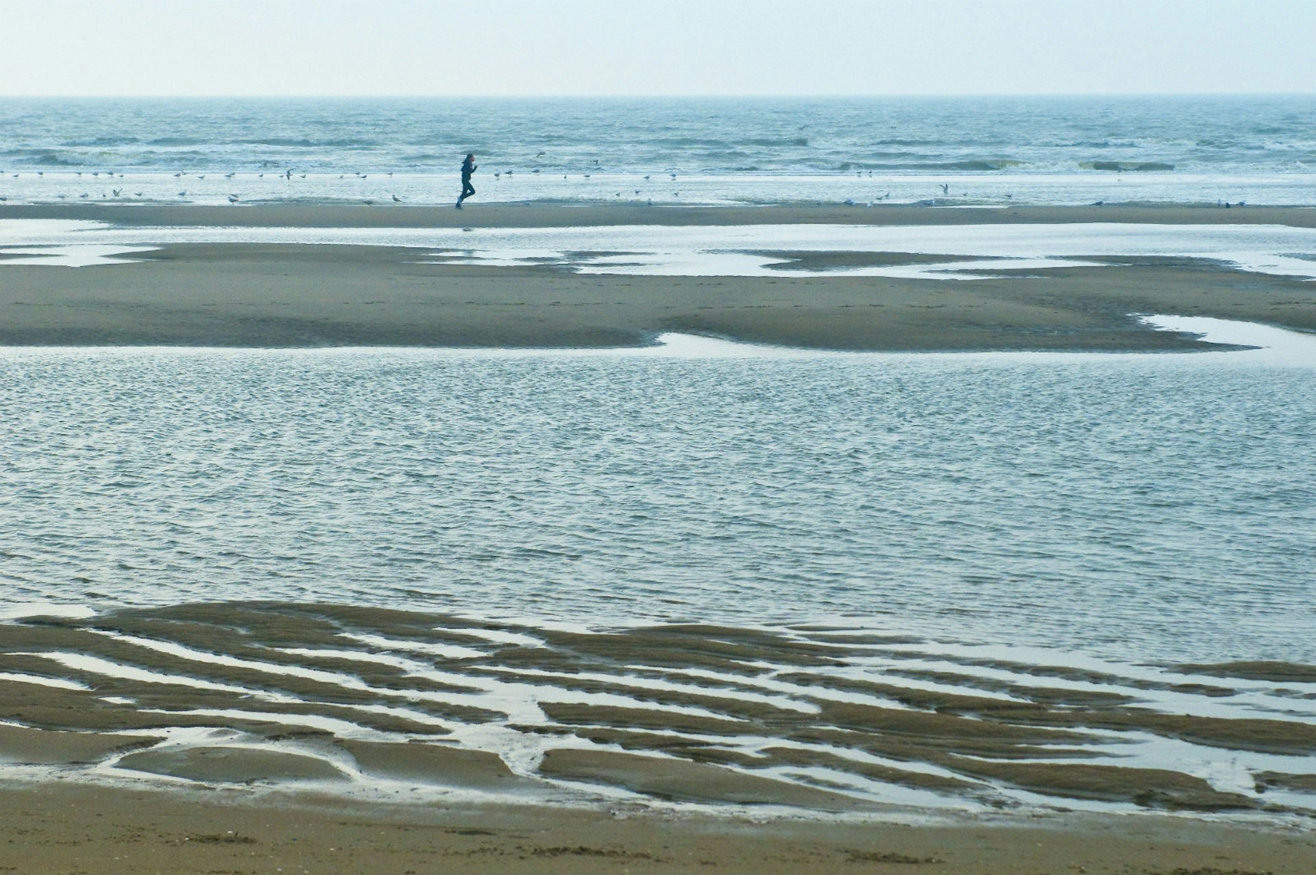 Trace the Belgian coastline from your seat on the Coast Tram © Emilie CHAIX / Getty Images