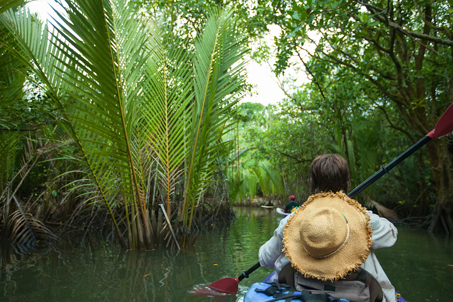 Features - kayak kayak