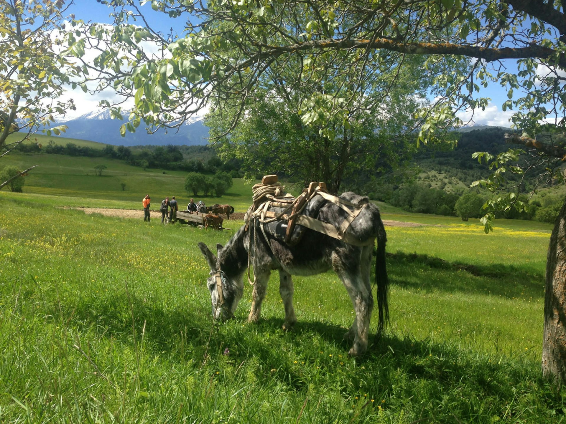 Working the fields near Gorno Draglishte © Brana Vladisavljevic / Lonely Planet
