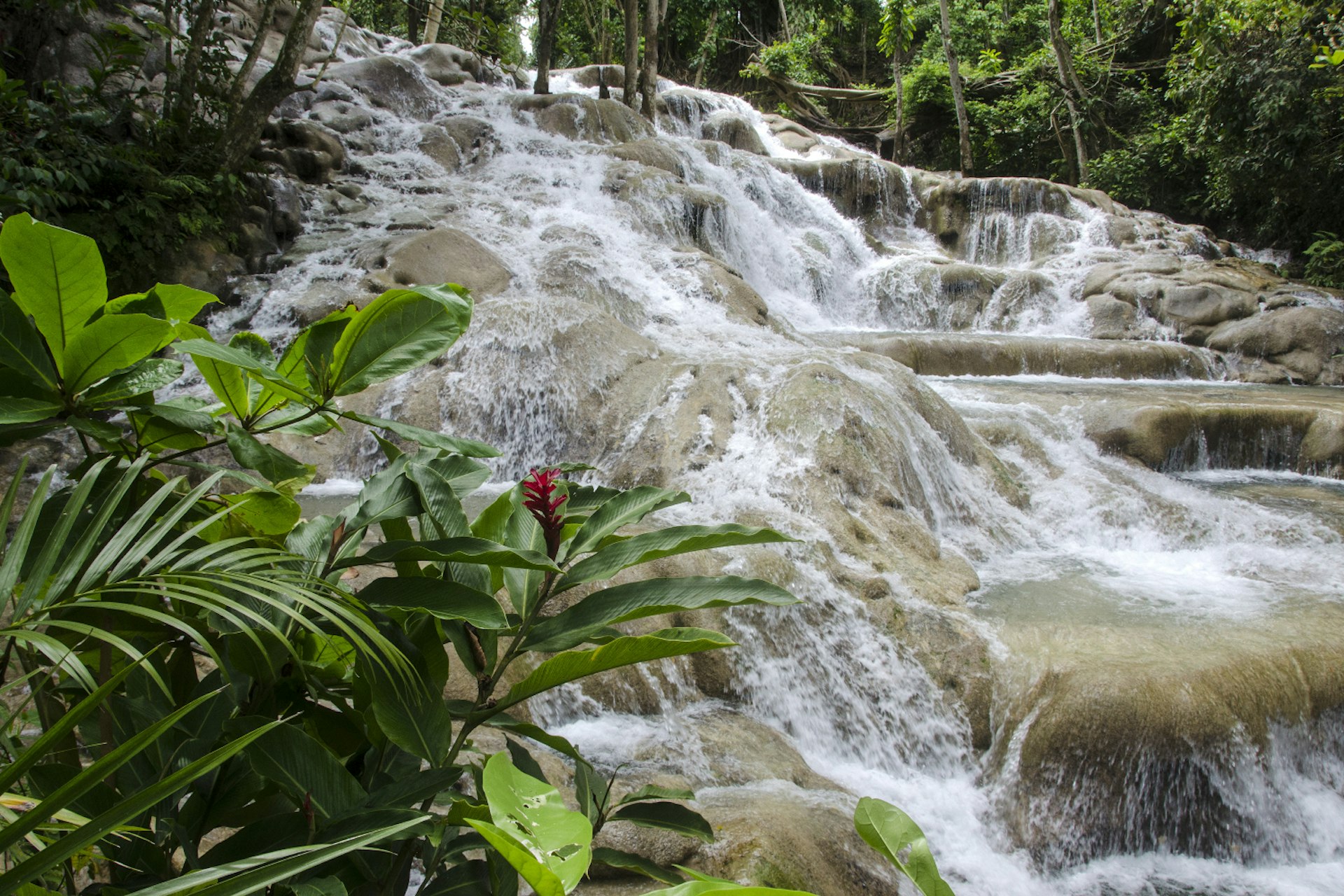 One of Alysia's first travel memories is hiking the Dunns River Falls in Jamaica © Mark Newman / Getty Images