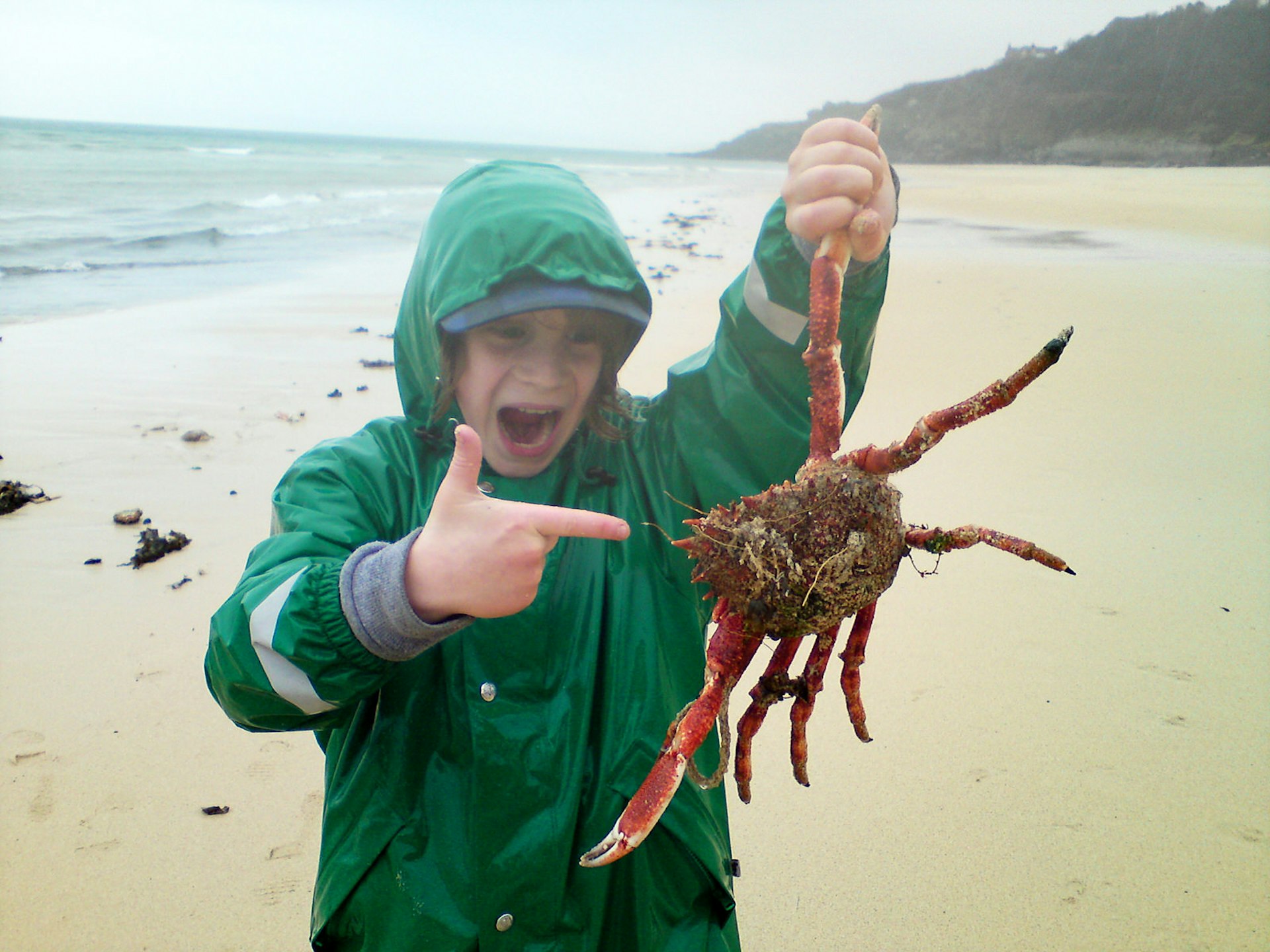 Child holds up a giant crab on a rainy beach © Philippastanton / Getty Images