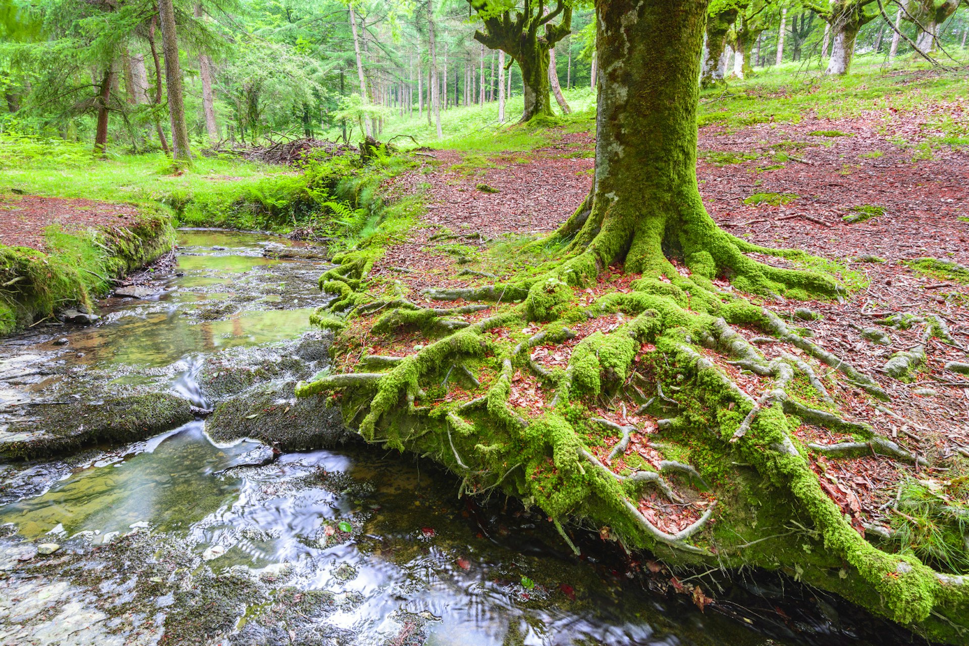 gorbea-natural-park