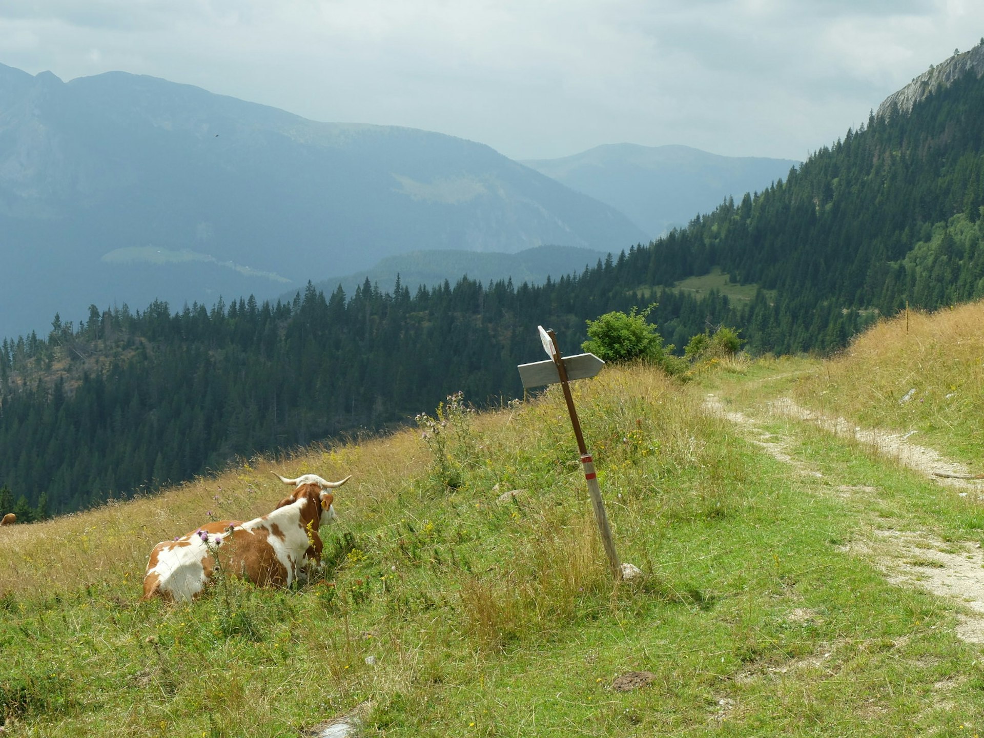 The green pastures of Rugova mountains in Kosovo © Franco Pecchio / CC BY-SA 2.0