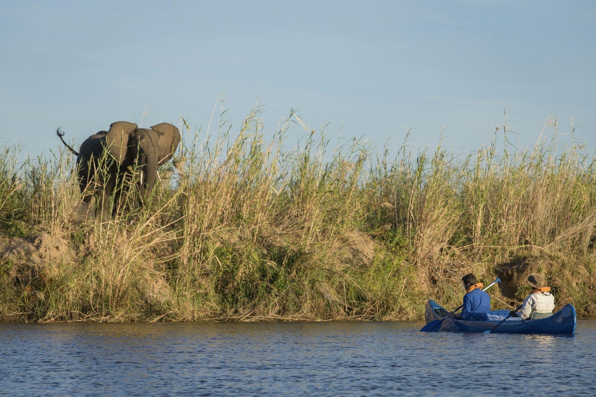 An elephant stands on the riverbank as canoers look on © Philip Lee Harvey
