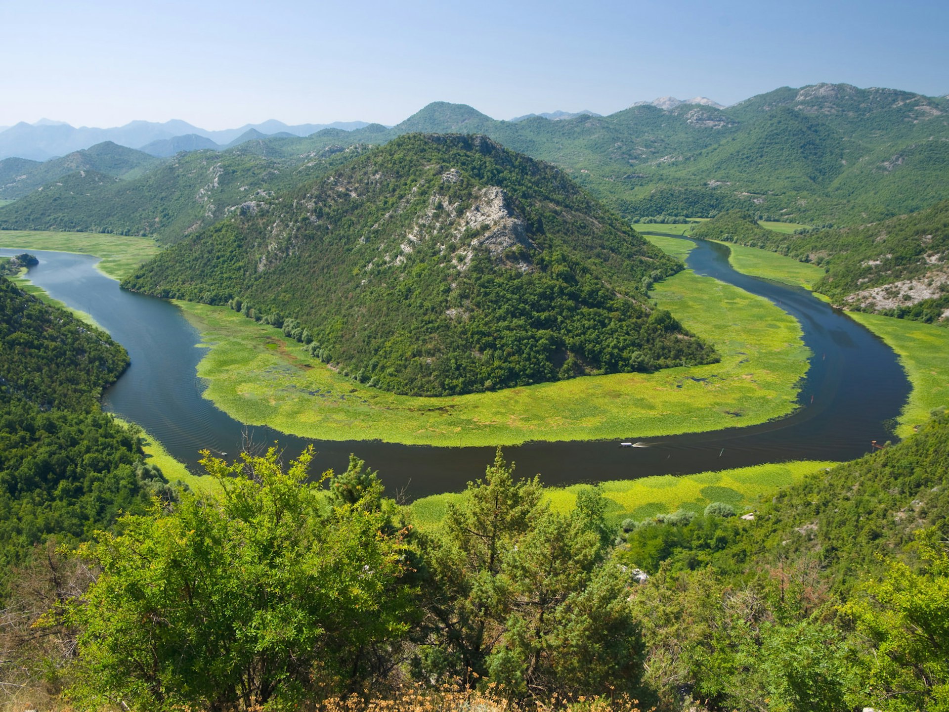 Crnojevic River curving into Lake Skadar national park © ollirg / Shutterstock