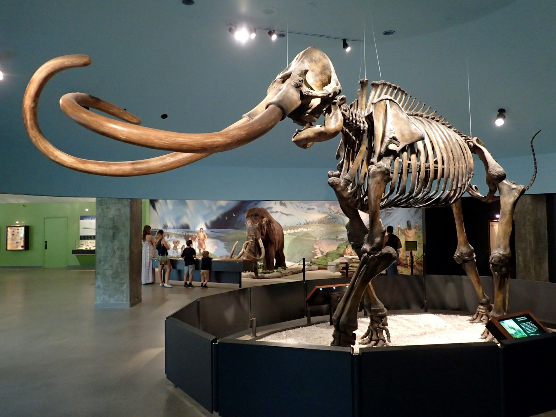Huge mammoths once roamed, and died, in the Los Angeles area © Tim Richards / Lonely Planet