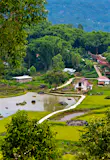 A view of the paddies during a trek through Tana Toraja in Sulawesi, Indonesia © Mark Eveleigh / Lonely Planet