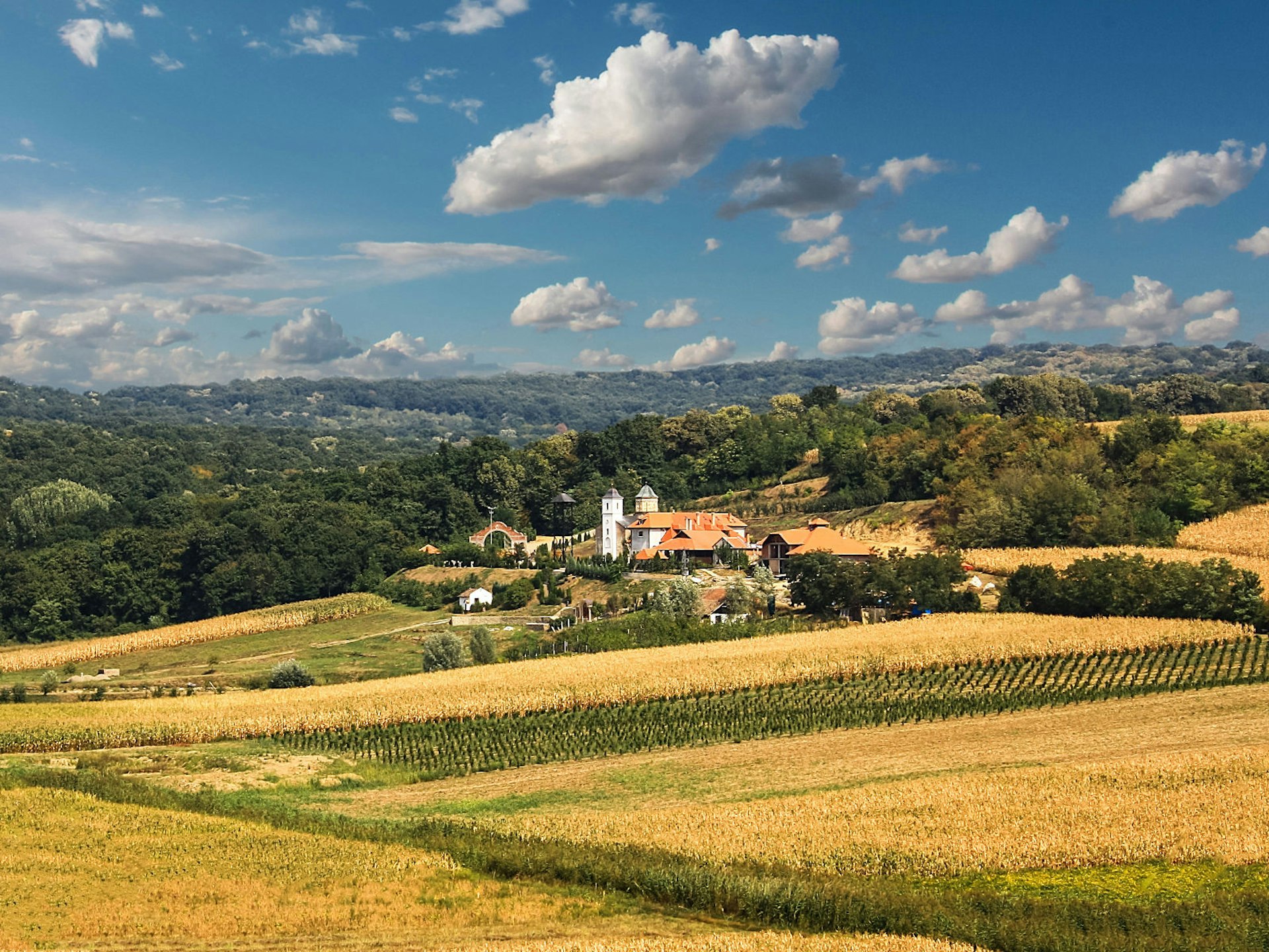 Orthodox monastery and vineyards in Fruška Gora National Park © Nevena Uzurov / Getty Images