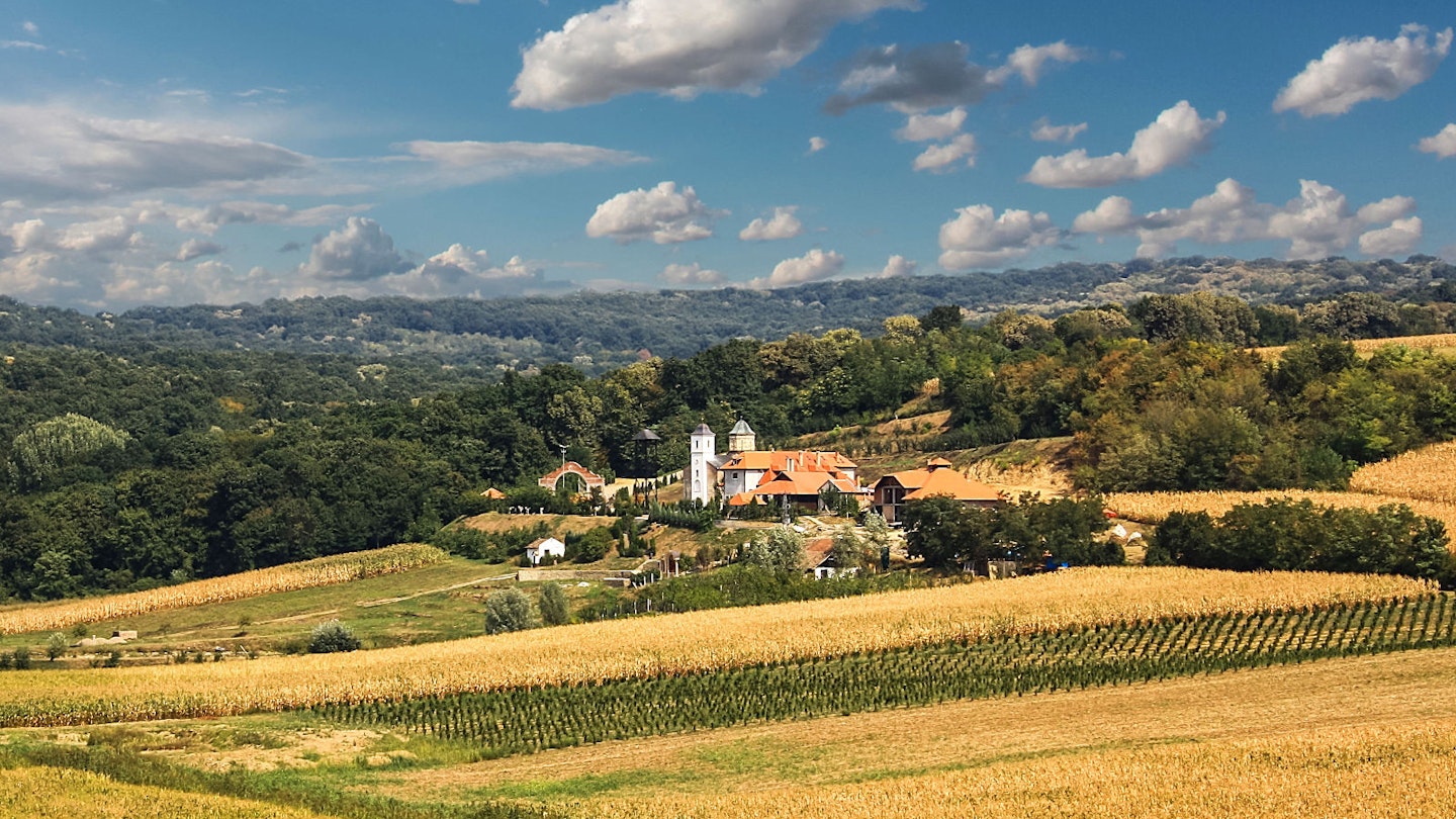 Orthodox monastery and vineyards in Fruška Gora © Nevena Uzurov / Getty Images