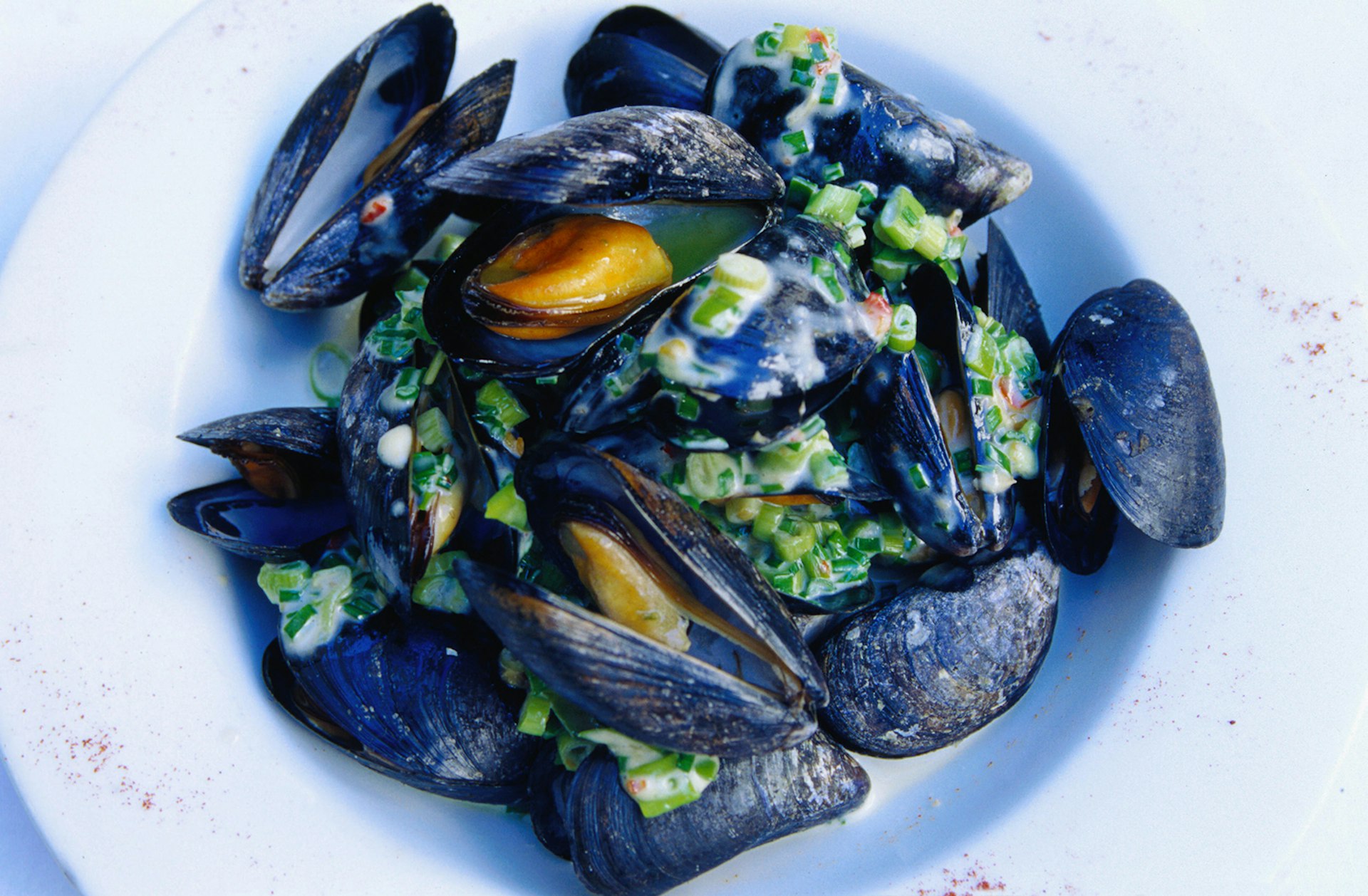 Creative cuisine at Kirwan's Lane Restaurant: Irish mussels with lemongrass, coriander and fresh chives