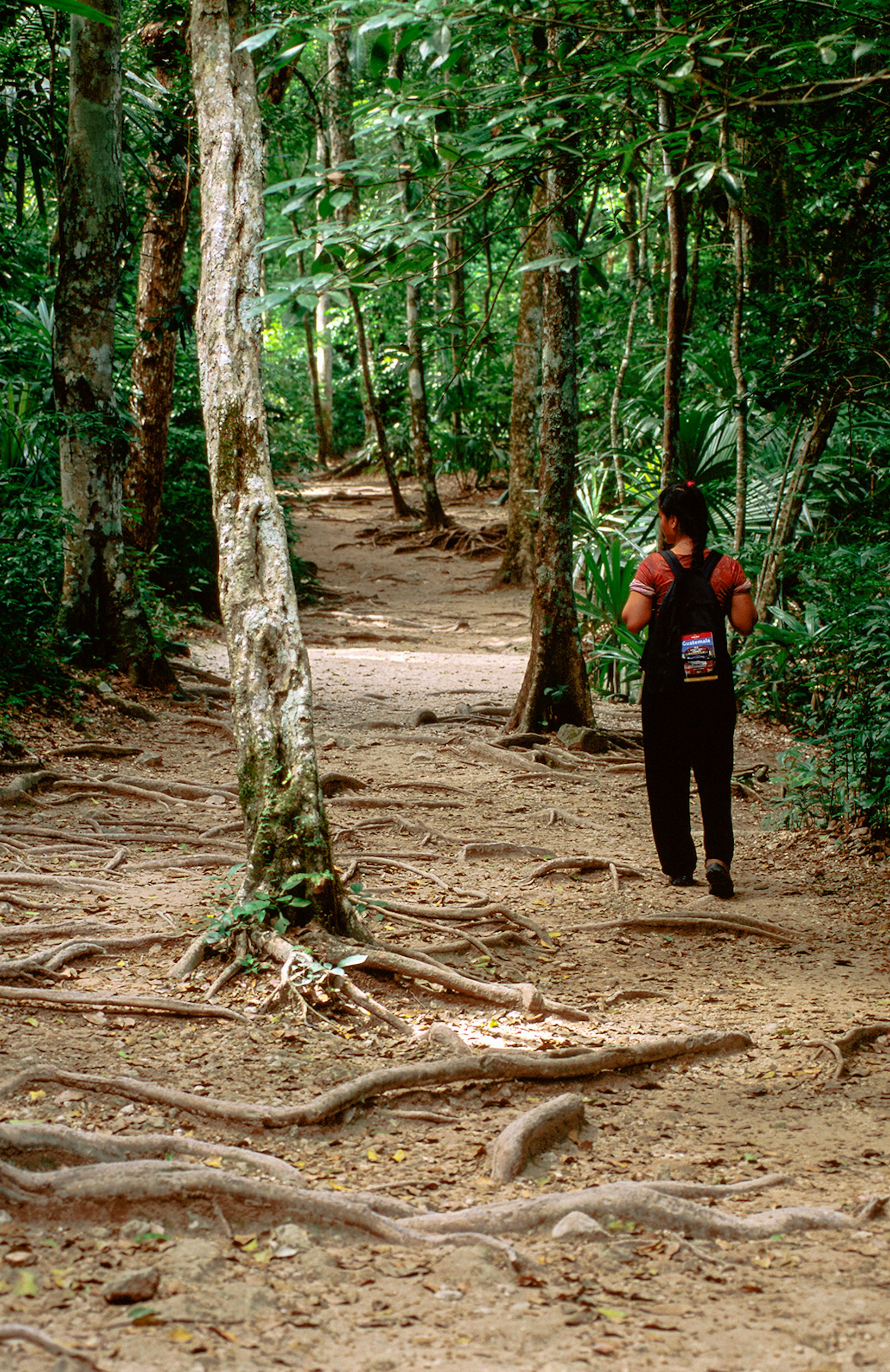 A woman walks a rainforest trail in El Petén © Kraig Lieb / Getty Images