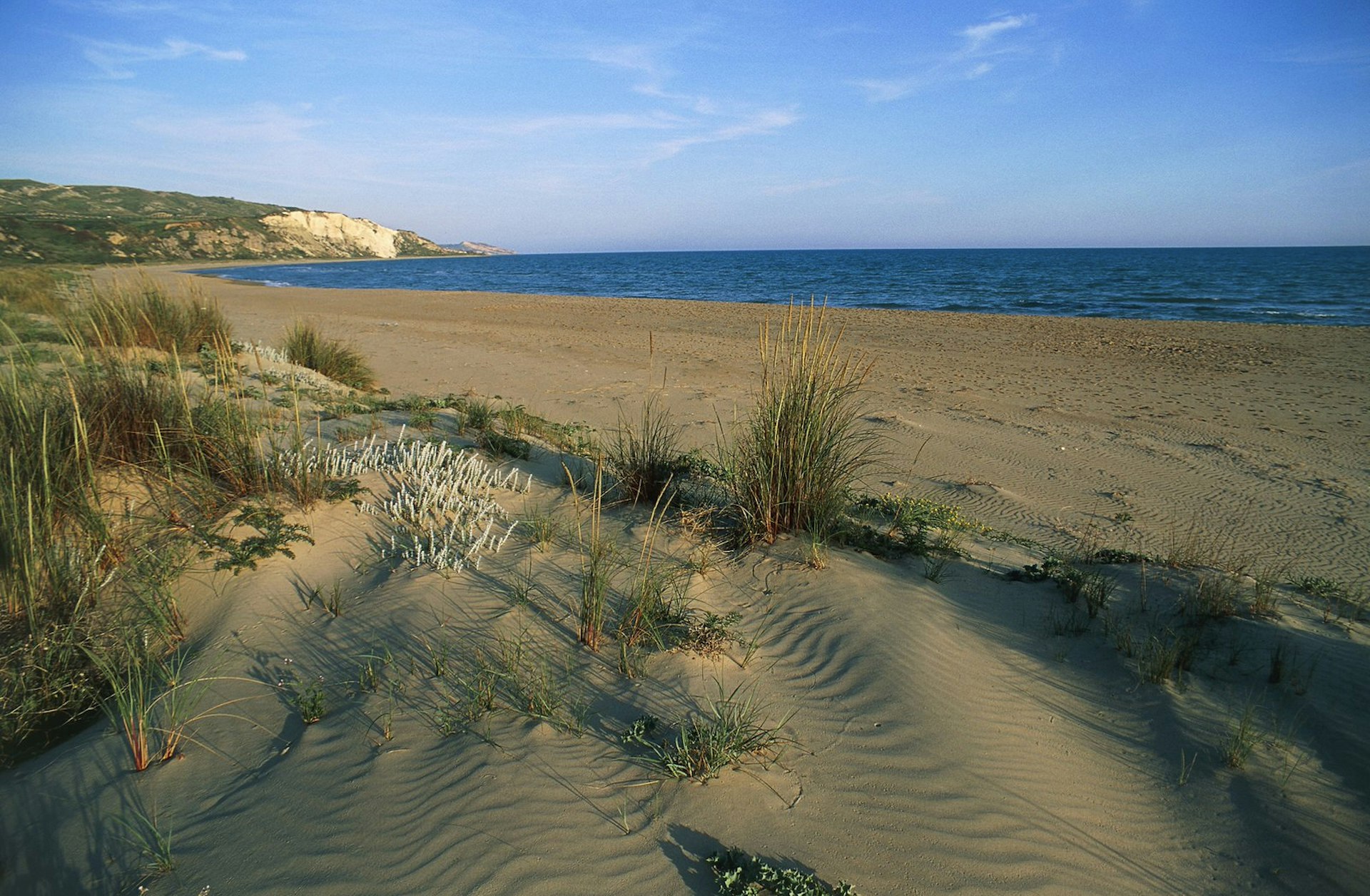 The expansive Torre Salsa beach, with grassy dunes in the foreground and a white headland in the far distance. The sand is golden and the water is dark blue.