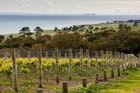 Features - Melbourne skyline from the Bellarine Peninsula