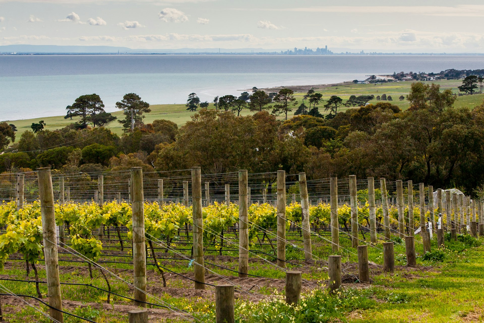 Looking towards Melbourne city from the Bellarine Peninsula © FiledIMAGE / Getty 