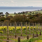 Features - Melbourne skyline from the Bellarine Peninsula