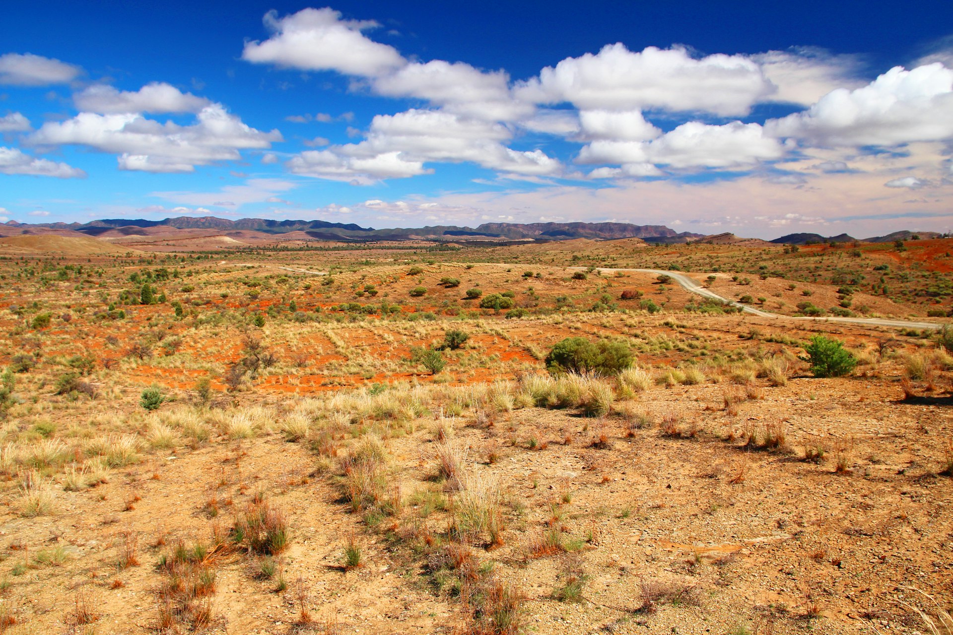 View from the Walls of China in the Flinders Ranges © Totajla / Getty 