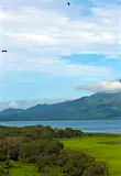 Birds fly over Lago de Yojoa in western Honduras © Wilfredo Escobar / EyeEm