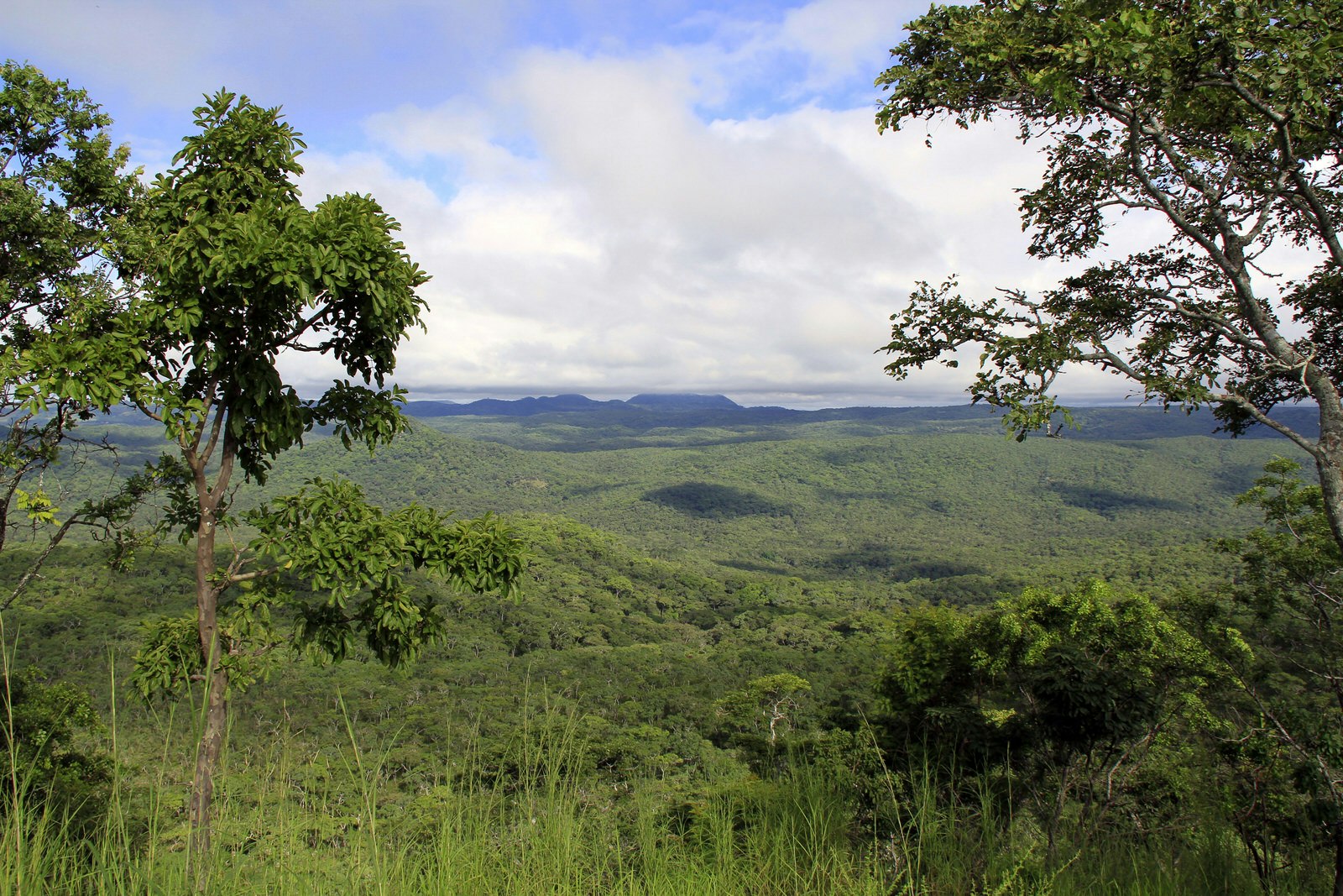 A view of the expansive Nkhotakota Wildlife Reserve from high above on Kasukusuka Peak; the plains are covered in dense bush © Will Whitford