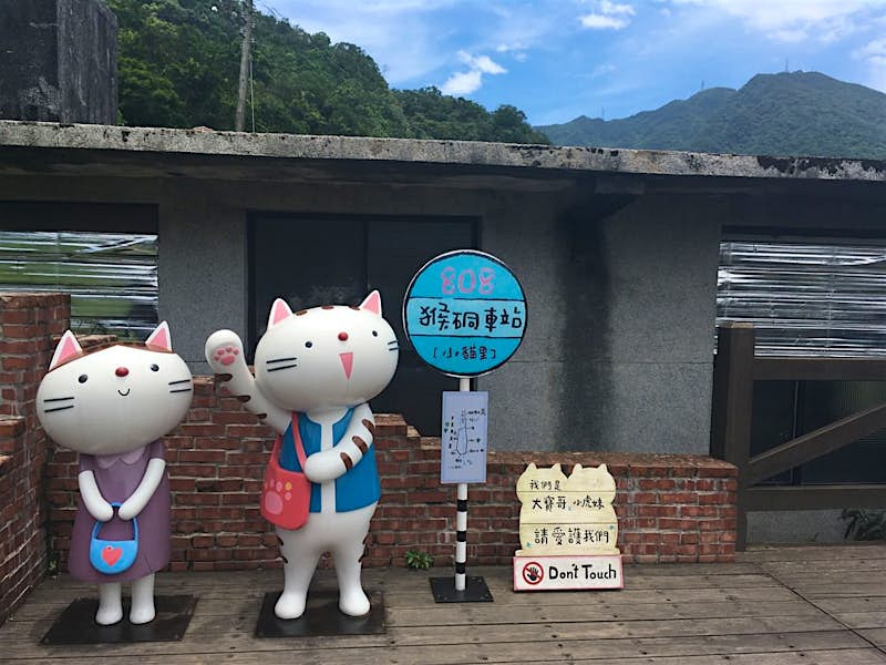 Welcome To Purridise Taiwans Houtong Cat Village Lonely - 