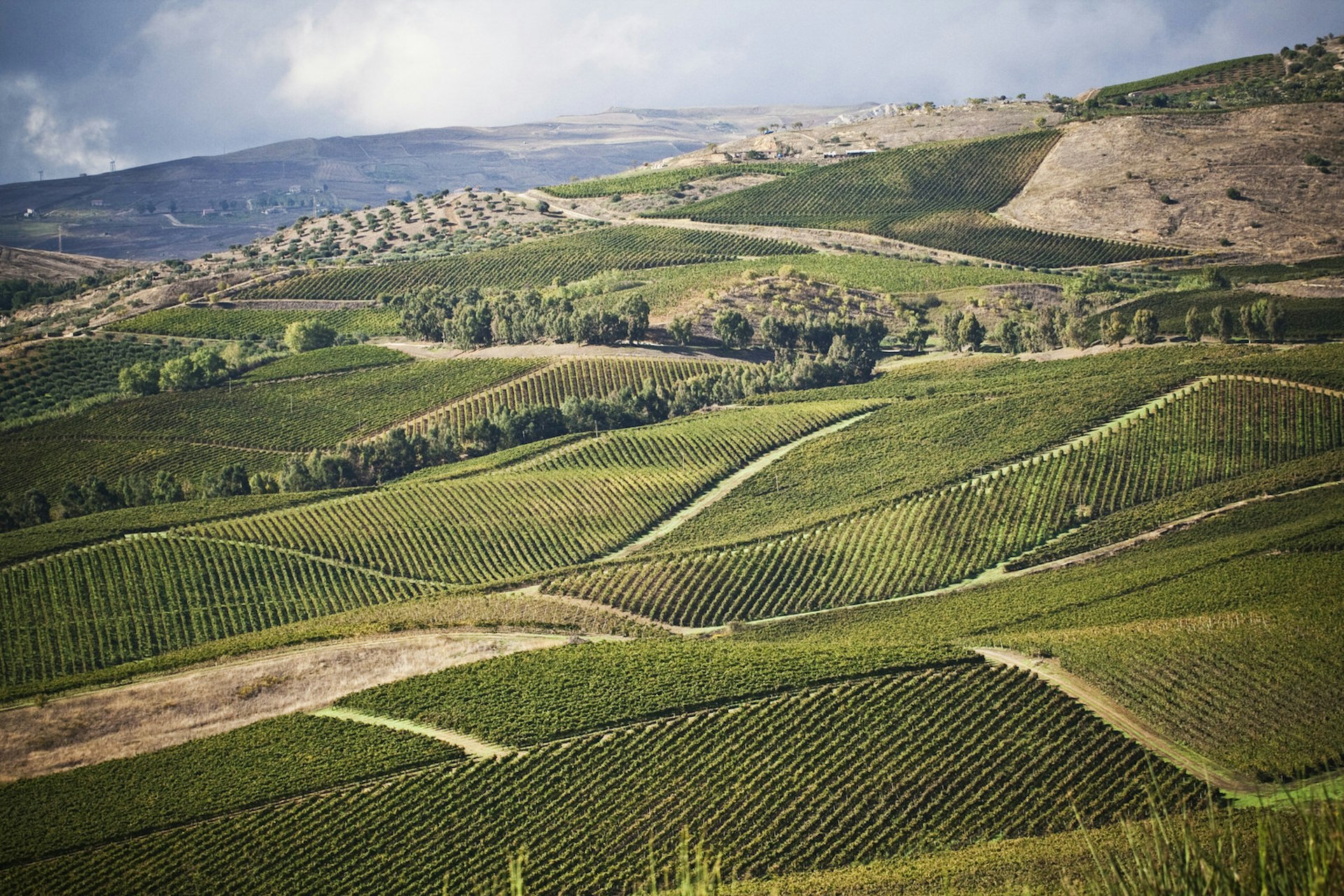 The vast Tasca d’Almerita wine estate