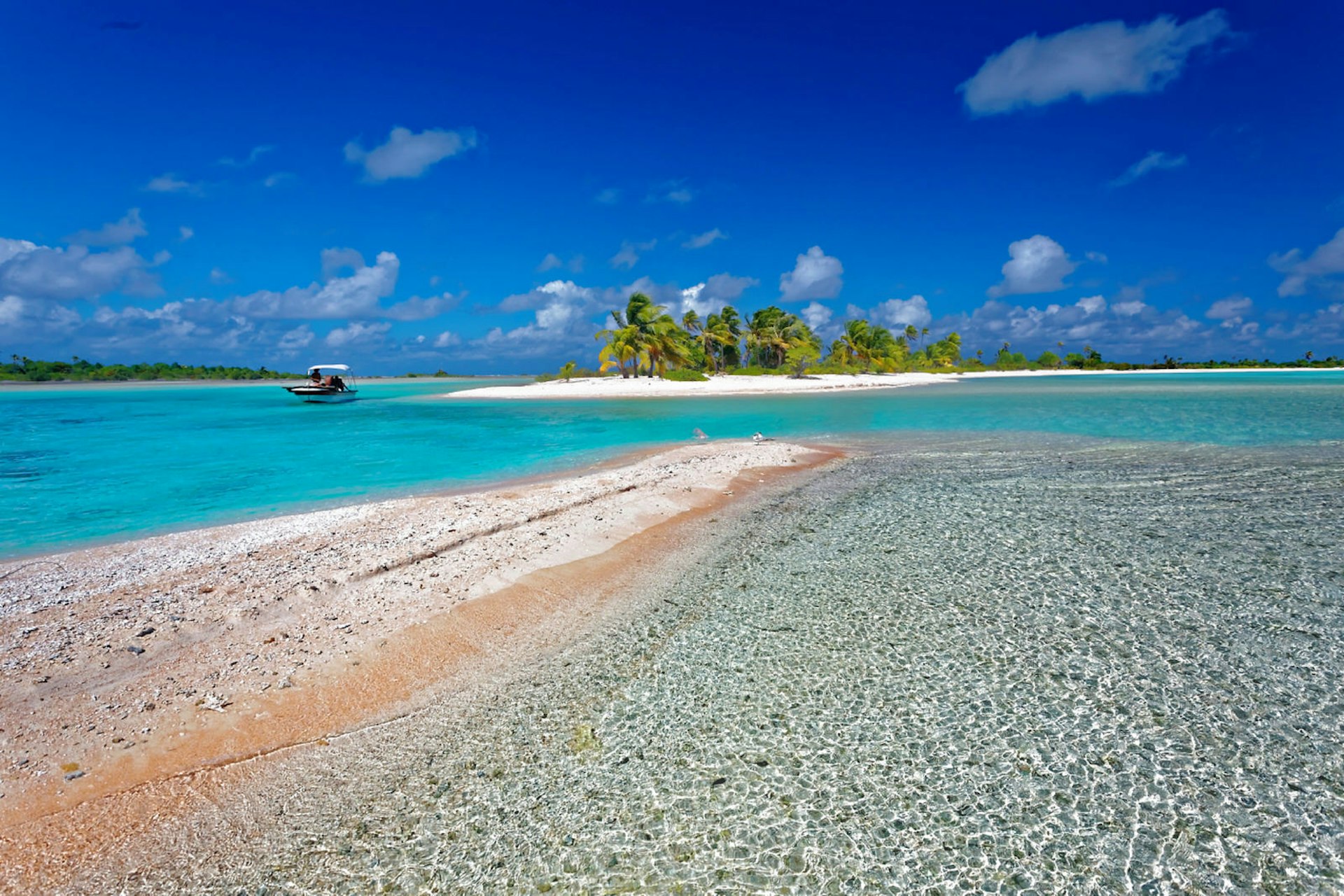 Choosing an idyllic spot on the lagoon in Tikehau © Jean-Bernard Carillet / Lonely Planet