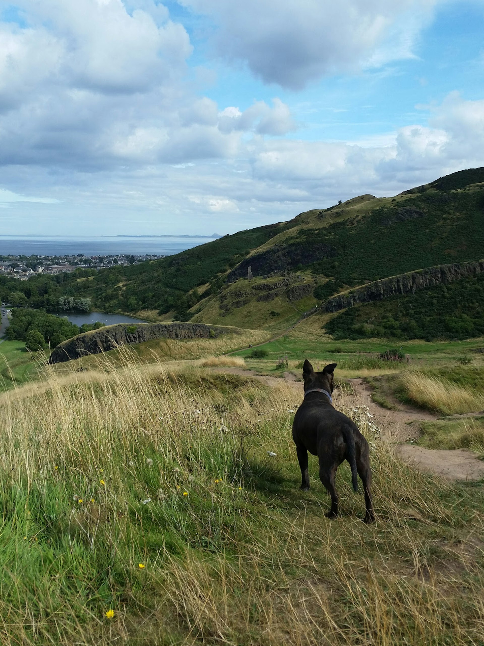 Arthur's Seat, with the Firth of Forth in the background © Chitra Ramaswamy / Lonely Planet