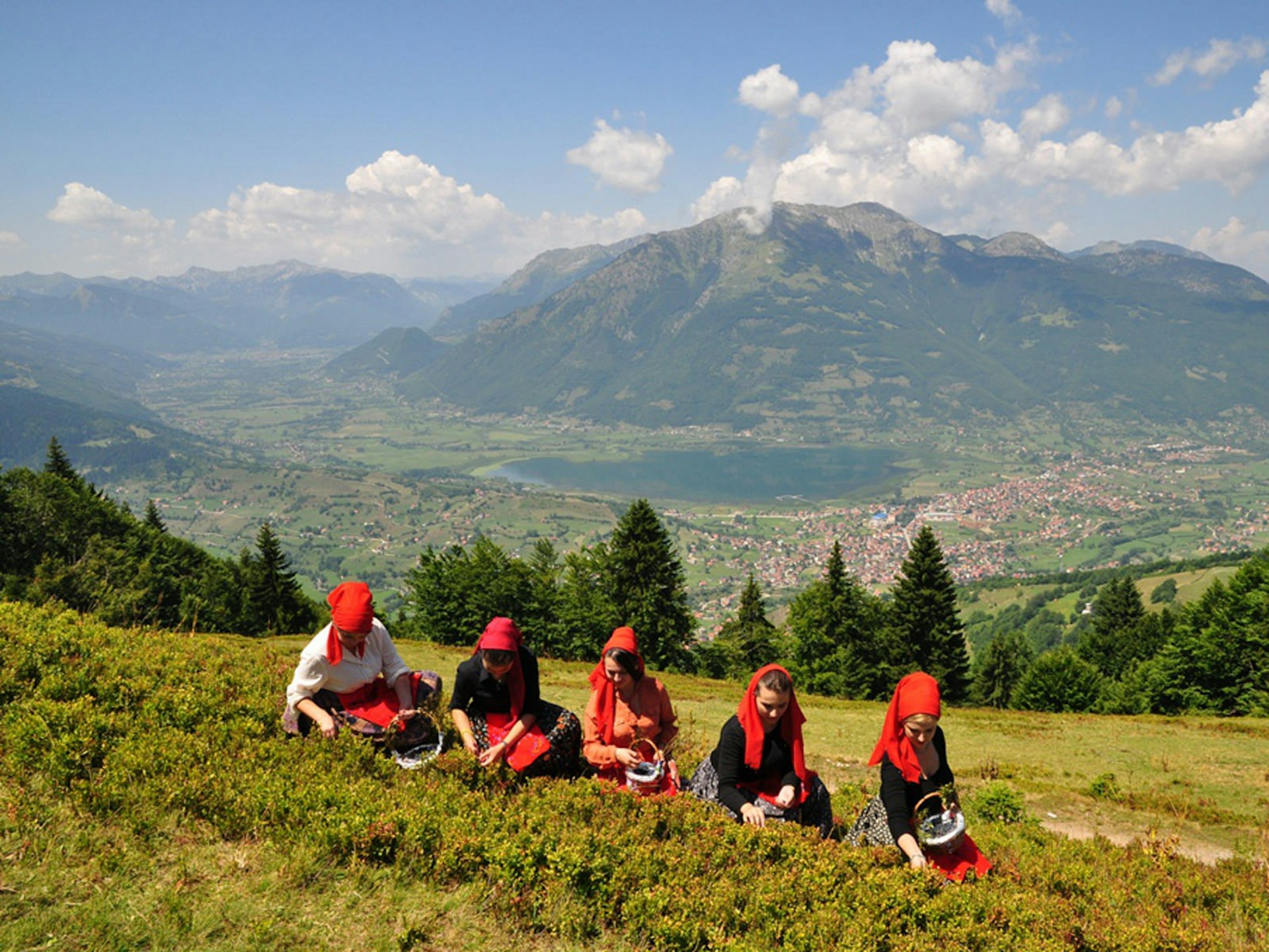 Days of Blueberries in Plav region © courtesy of Edin Jadadic / Tourism Organisation of Plav