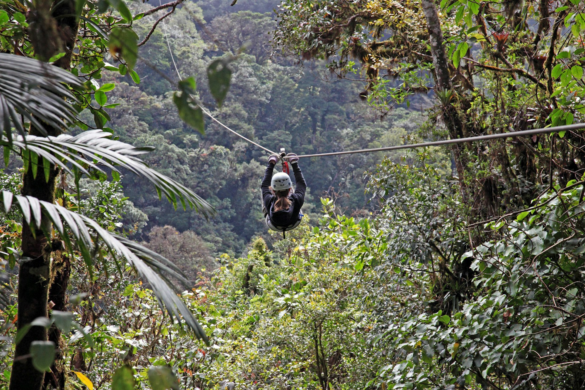 Woman solo rider on 'zipline' cable above forest canopy in Monteverde region.