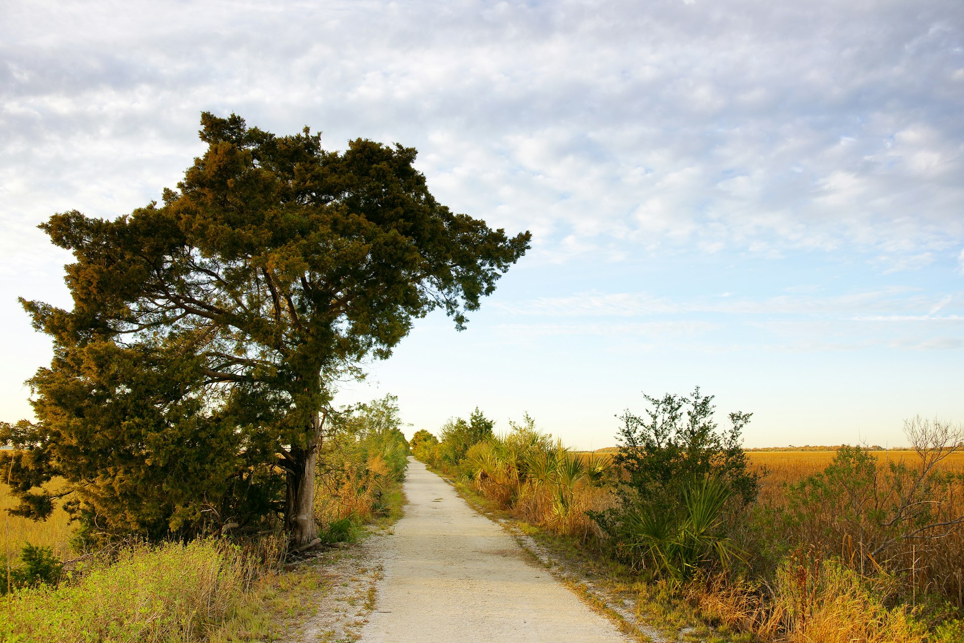 The McQueen's Island Trail, also known as the 'Rails to Trails' path, runs along the marshes near Savannah © Joseph Shields / Getty Images